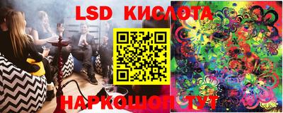 a pvp Свободный