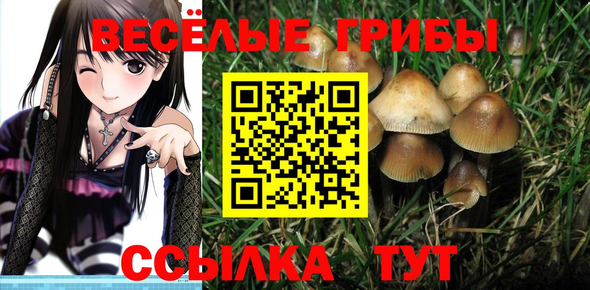 Псилоцибиновые грибы Magic Shrooms Наро-Фоминск