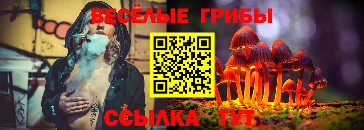 купить наркотики сайты  Галлюциногенные грибы MAGIC MUSHROOMS  Вход с VPN  Наро-Фоминск 